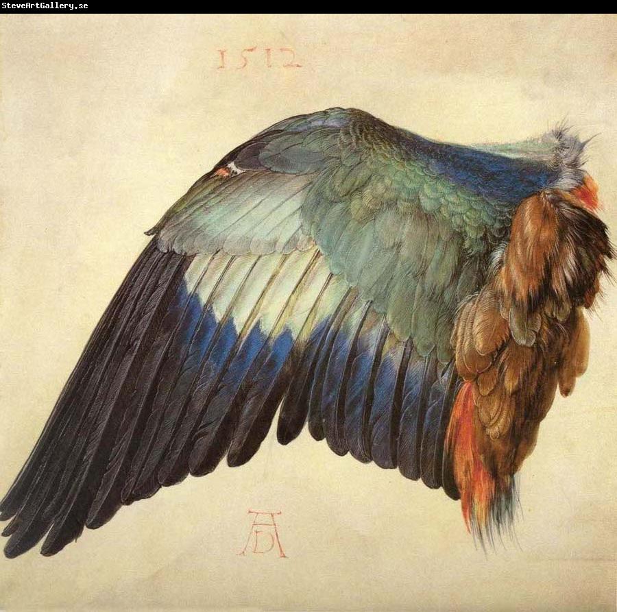 Albrecht Durer Wing of a Blue Roller